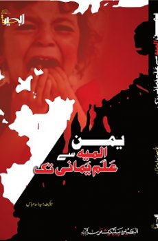 یمن : المیہ سے عَلَم عمانی تک